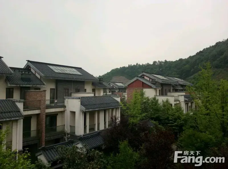 金科东方大院 (边户) 花园 醉高性价比 依山而居,长沙