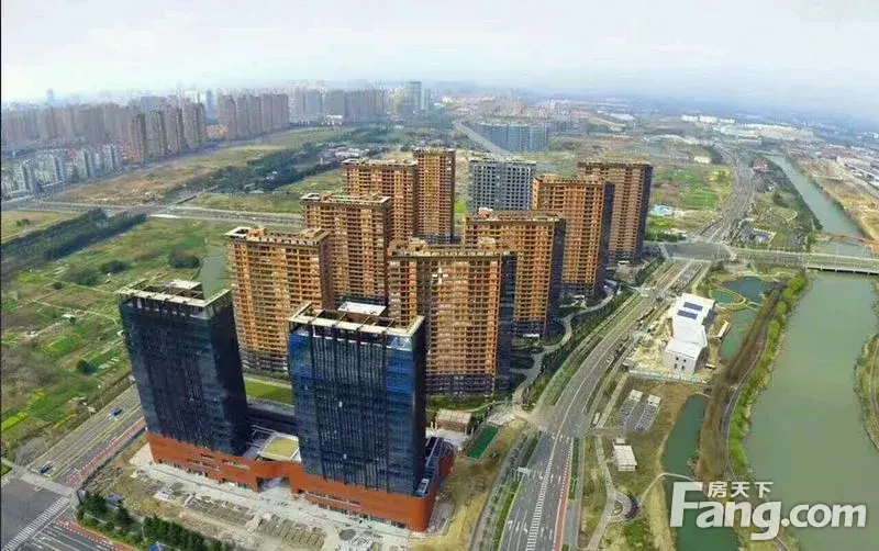 龙洲伊都,单身公寓,快看过来,请看详情