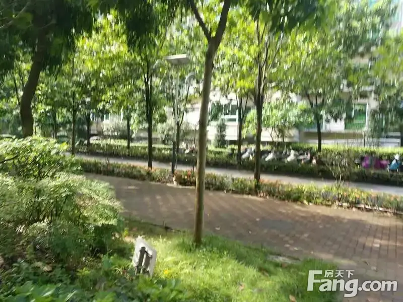 丰盛苑二手房实景图