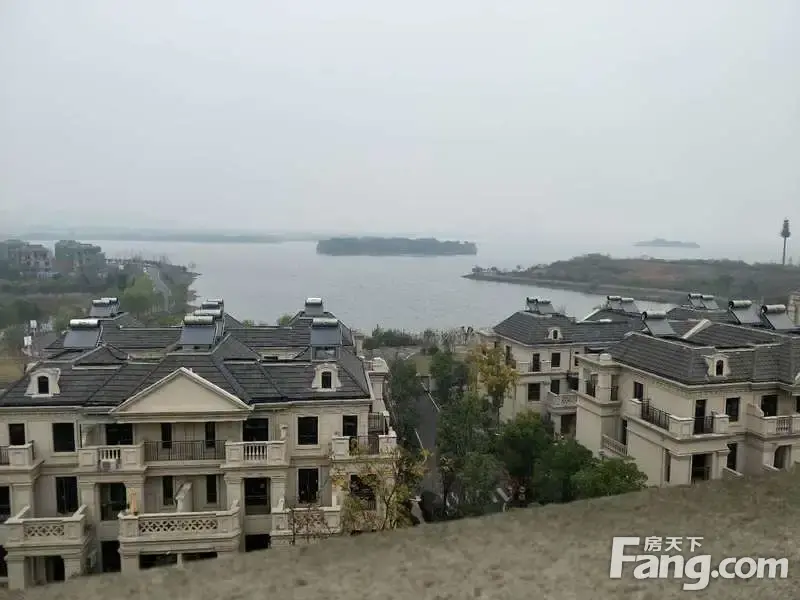 绿地美湖 别墅 5室 毛坯 送大花园 车位,武汉蔡甸区后
