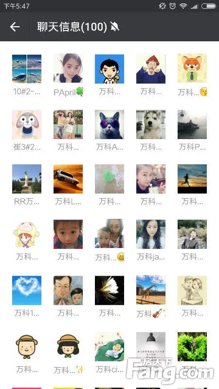 万科东方传奇业主微信群-万科·东方传奇业主