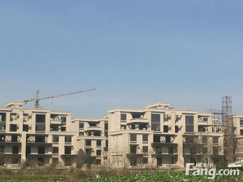 香缇半岛跑盘贴(一)