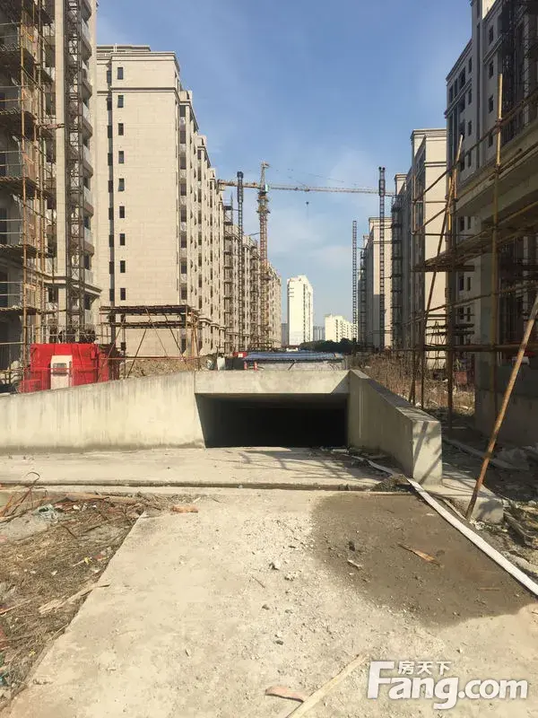 香缇半岛跑盘贴(一)