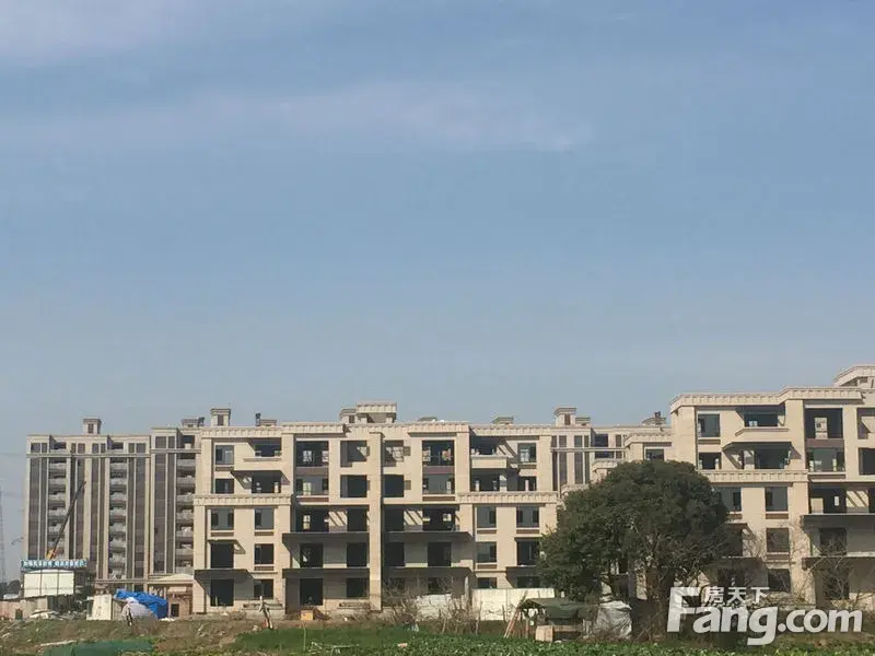 香缇半岛跑盘贴(一)