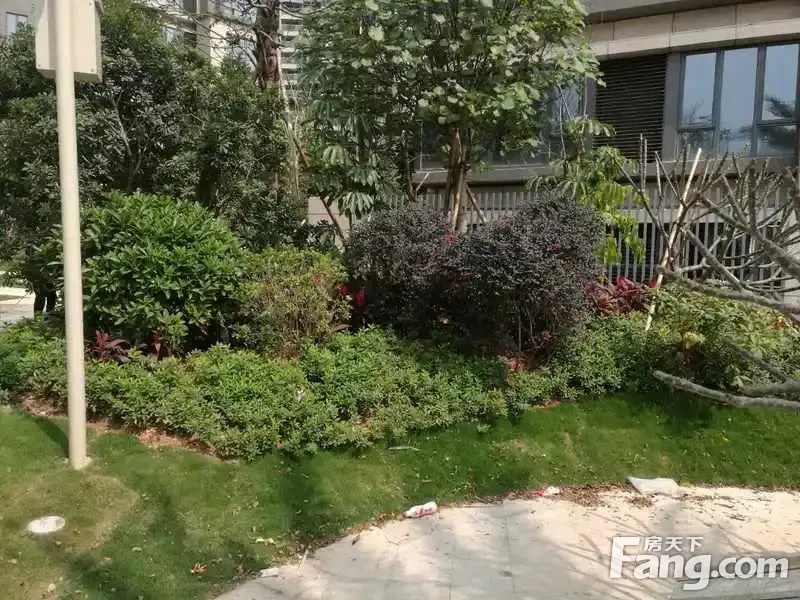 实拍山语海项目现场,山海之间