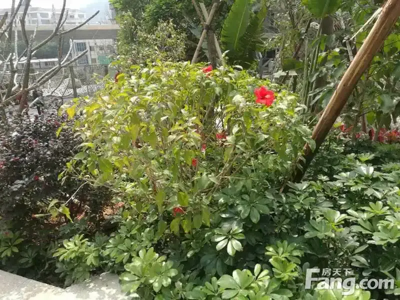 实拍山语海项目现场,山海之间