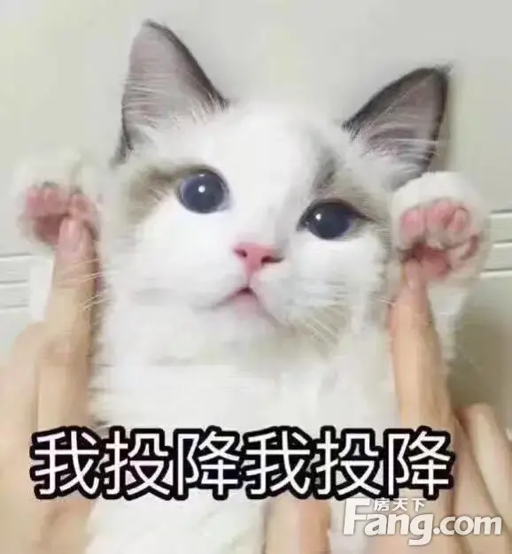 ïºʪҾ