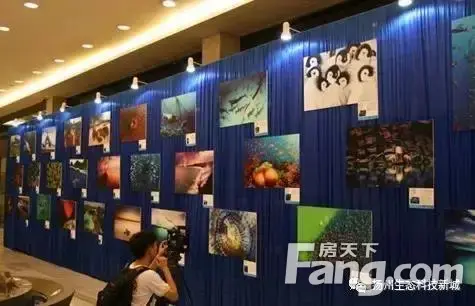 【今日话题】扬州海洋馆项目选址万福大桥东北角 将于明年4.18开业 【今日话题】扬州海洋馆项目选址万福大桥东北角 将于明年4.18开业