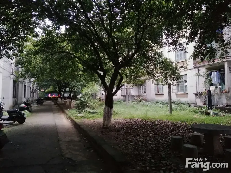 һֱϣһλ׼ؽ
