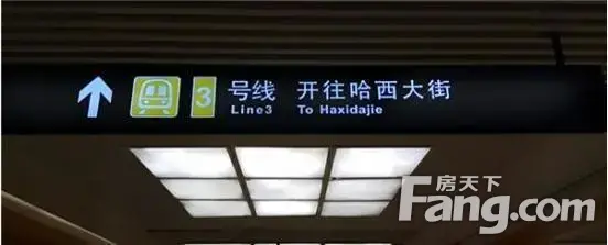 ߣȺ
