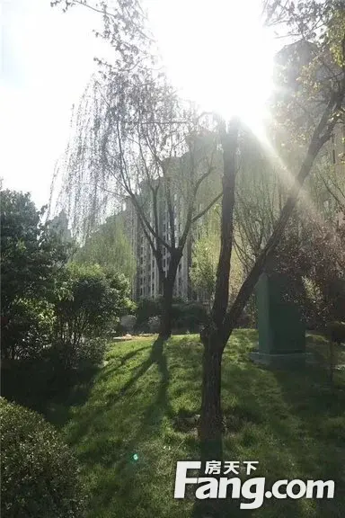 ԰羰续㲻֪ɣ