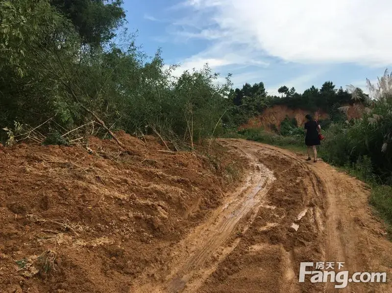 潇湘名城业主之宁乡灾区爱心援助活动