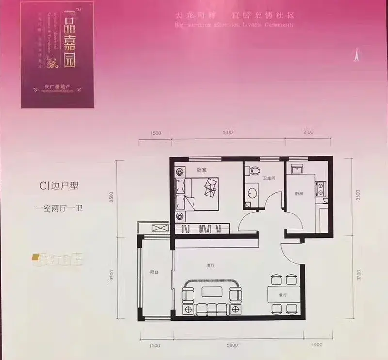 一品嘉园这次开盘的户型图你知道吗?