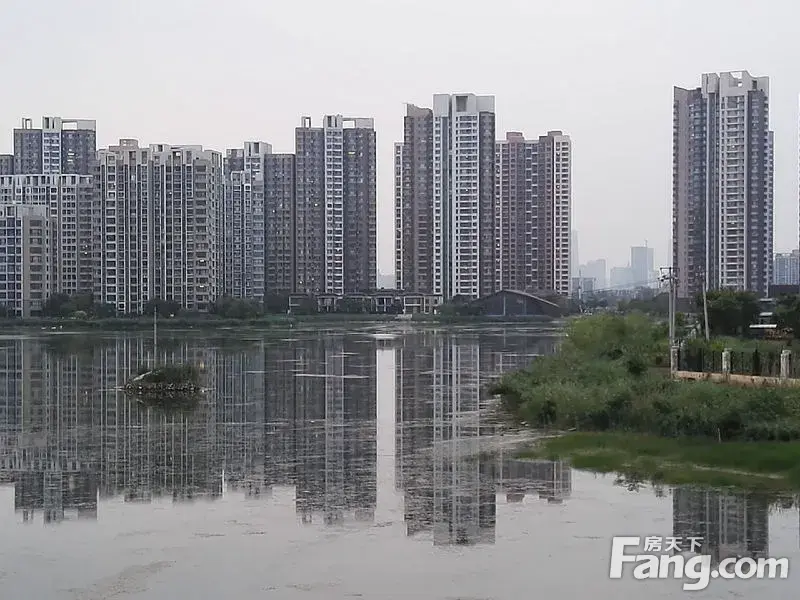 咱们津门湖里的水去哪儿了?