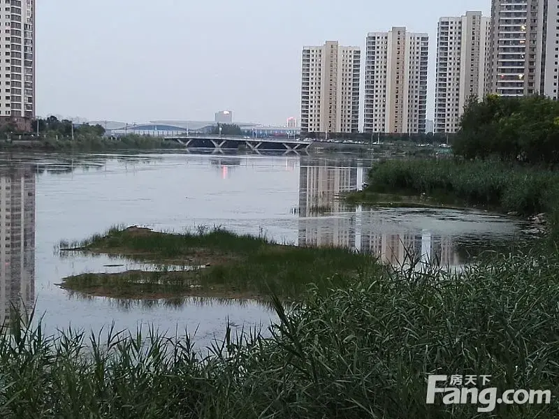 咱们津门湖里的水去哪儿了?