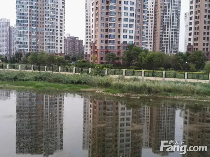 咱们津门湖里的水去哪儿了?