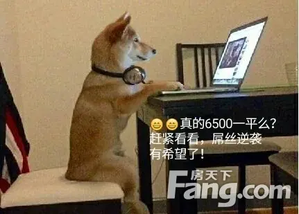 二哈君看房日记—盛港国际看房论坛