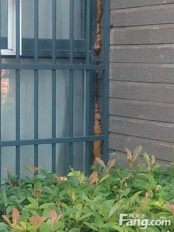 51栋的邻居们看过来