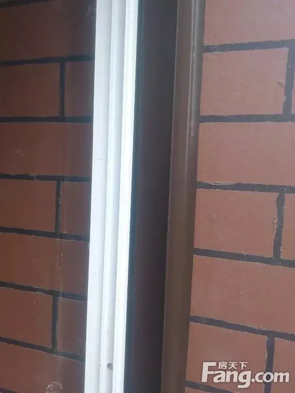 51栋的邻居们看过来