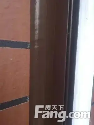 51栋的邻居们看过来