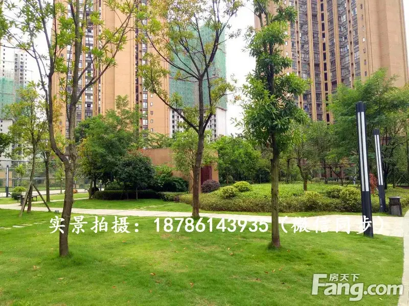请输入帖子标题 字数上限40个汉字