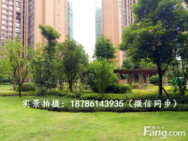 请输入帖子标题 字数上限40个汉字