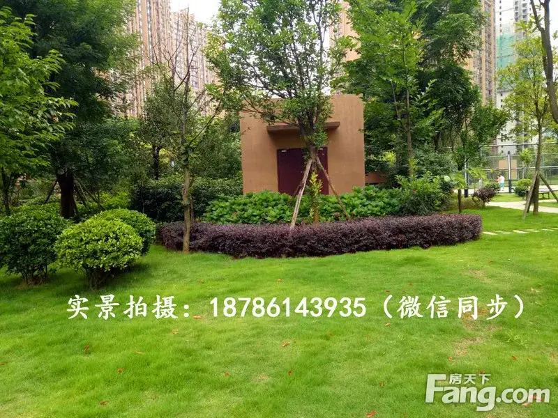 请输入帖子标题 字数上限40个汉字