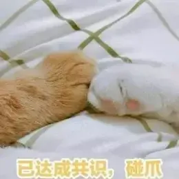 ˽Щװ֪ʶװ޼۸