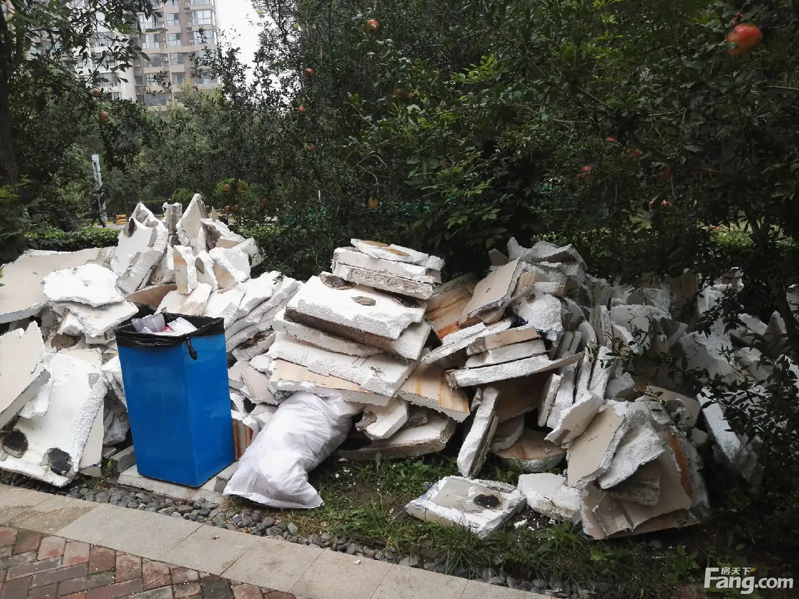 观鹭柏溪园里的新增垃圾山