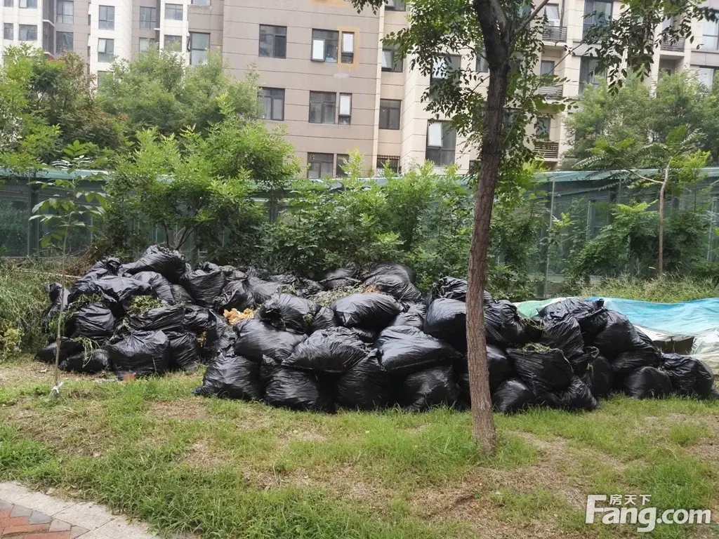 观鹭柏溪园里的新增垃圾山