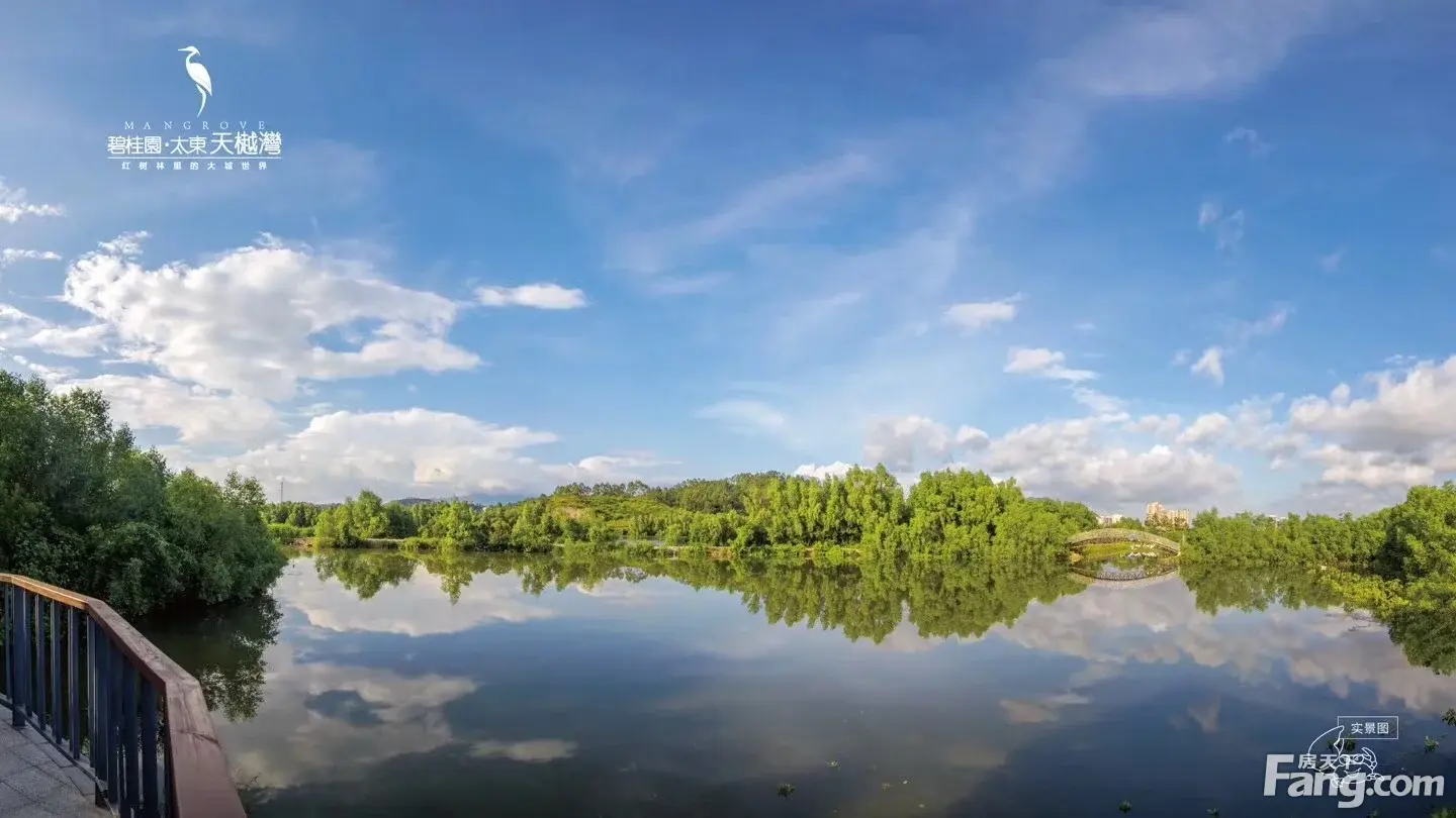 原生态的湿地美景