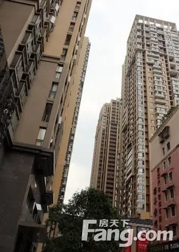 请输入帖子标题 字数上限40个汉字