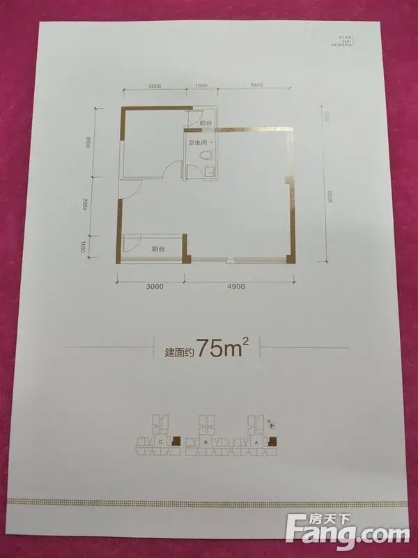 福城·前海新纪元 户型样板间独家解读