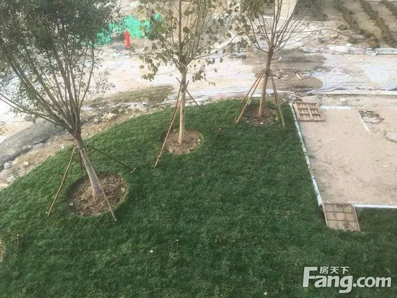 小区开始绿化了,希望旭辉多种草多种树!