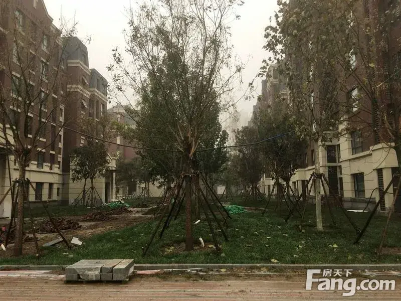 小区开始绿化了,希望旭辉多种草多种树!