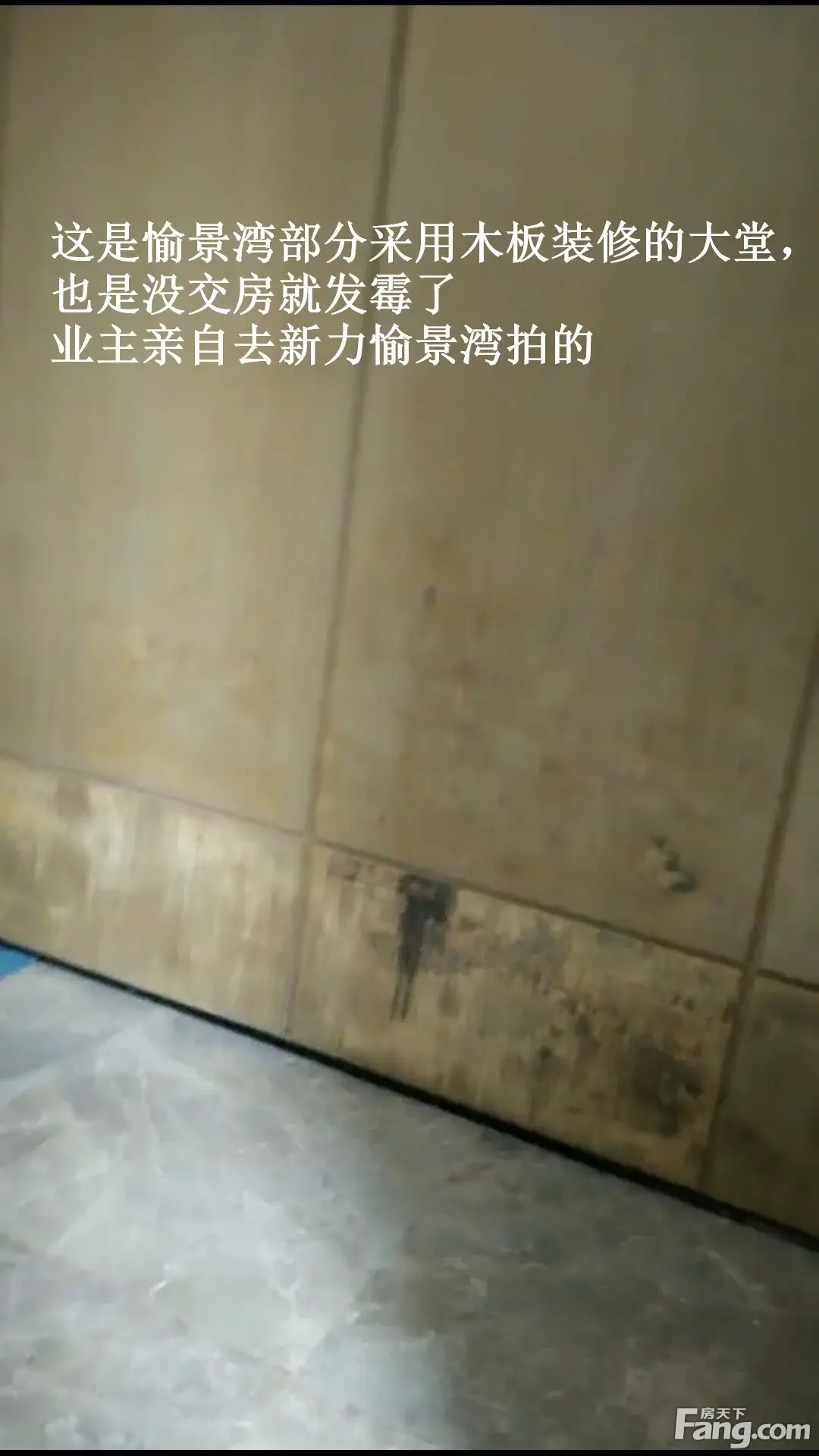 良心呢?这样的入户大堂你们会收房吗!我们拒绝!!!