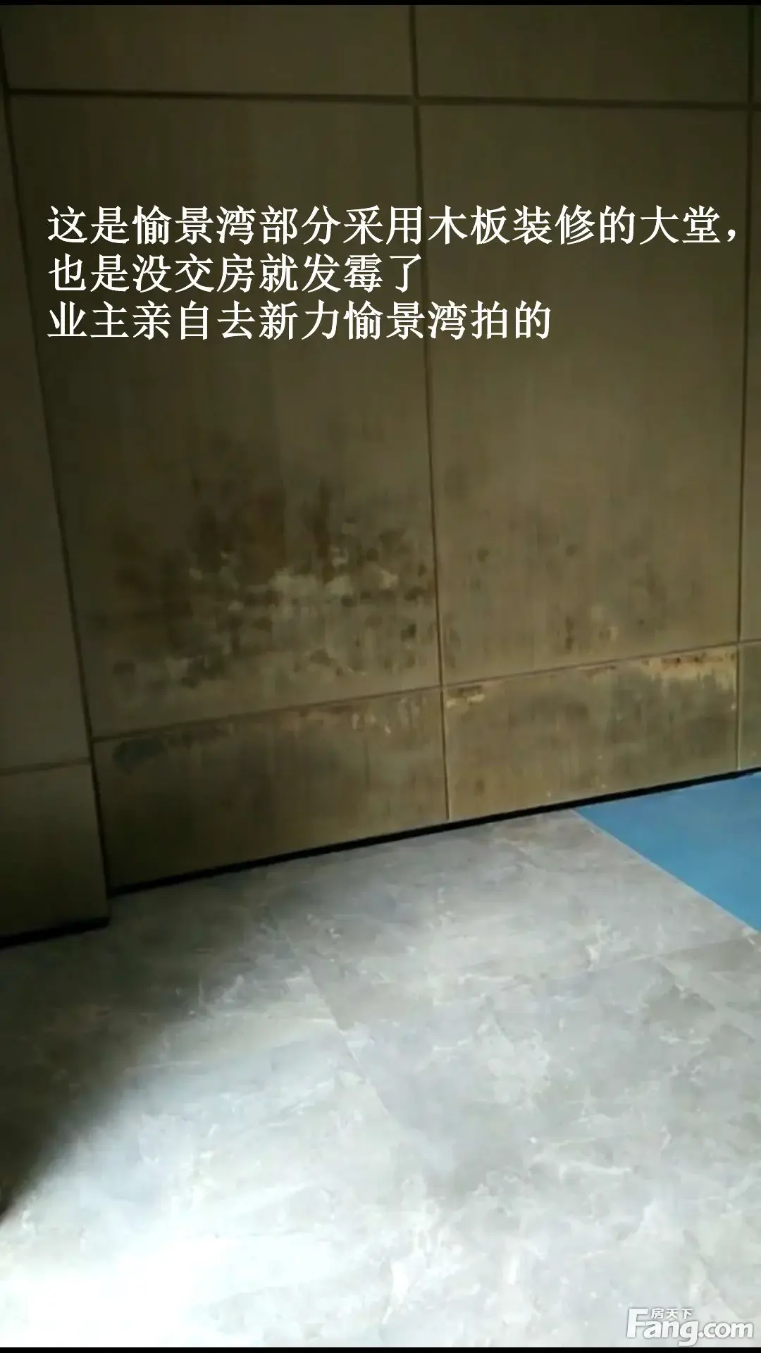 良心呢?这样的入户大堂你们会收房吗!我们拒绝!!!