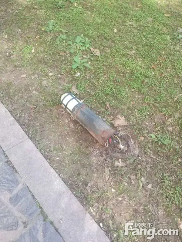 µĵƺ¶ĵ