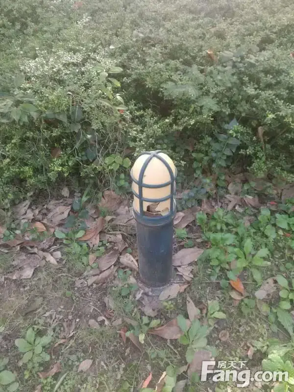 ĵ