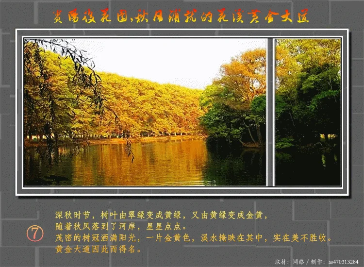 ӱ 40