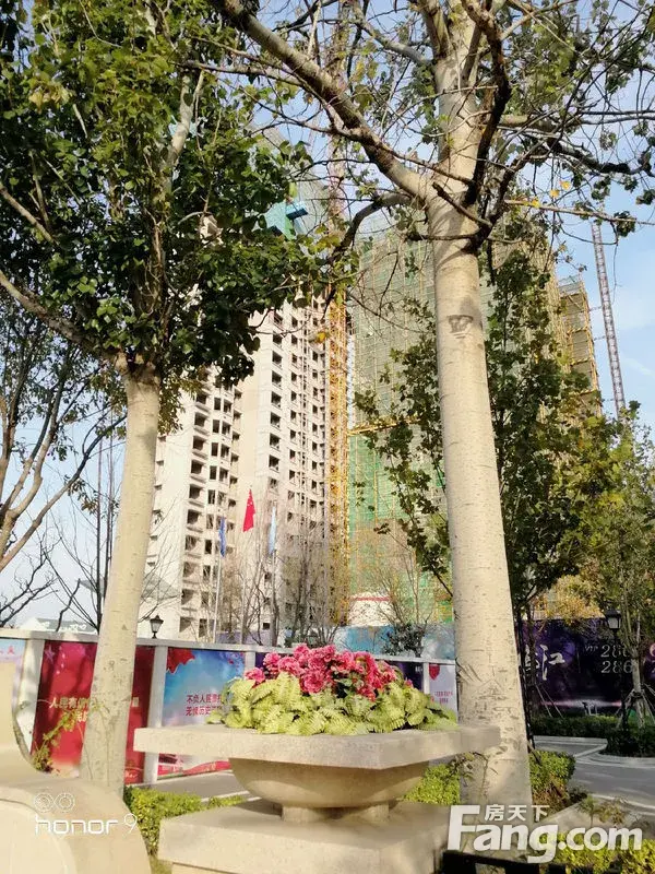 ճա