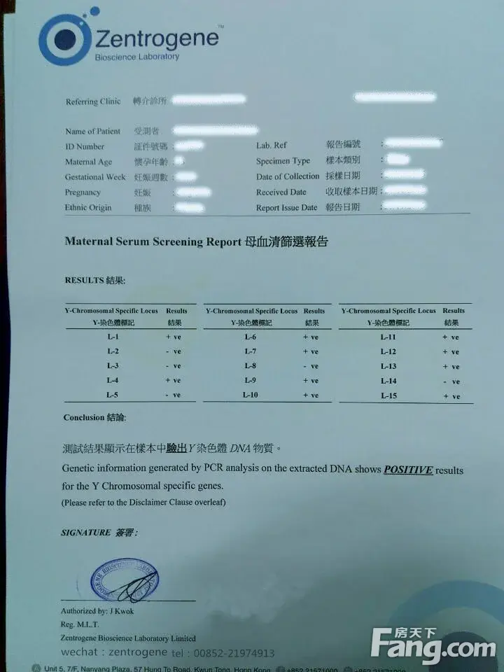 香港验血报告|结果小王子1枚 感恩-社区活动业主论坛 昆明房天下