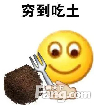 11.11ڡ˹һ£춼ǹڣ