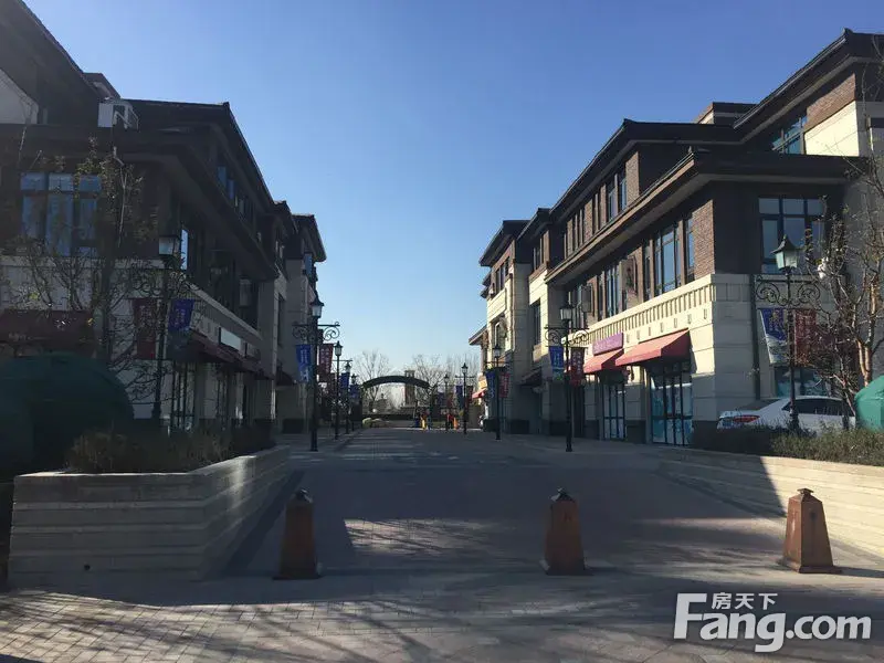 【小道君疯狂踩盘记】冬季的鸿坤原乡半岛 别有一番风味