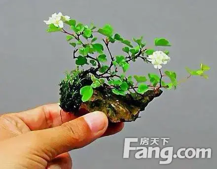 【“0”元拍】iPhone8,还不参加?