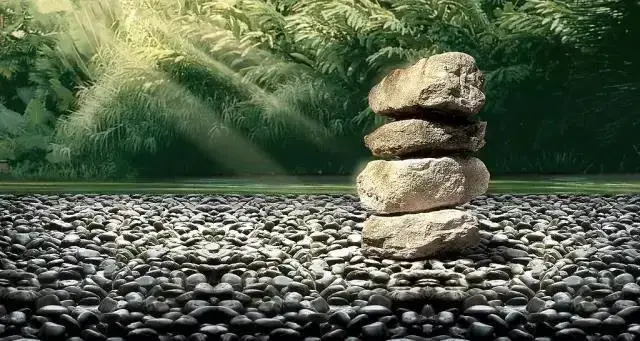 9ֲ֮е뾡ӣ