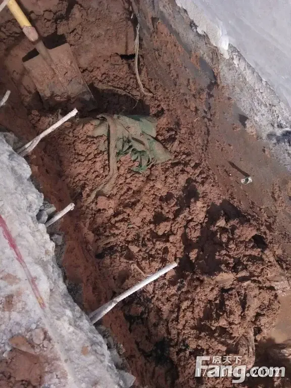 万科美景魅力之城一期17号楼存在严重质量问题