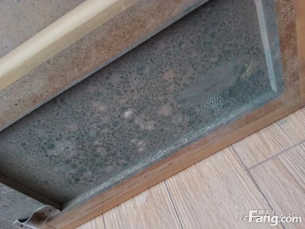家中的家具都发霉了