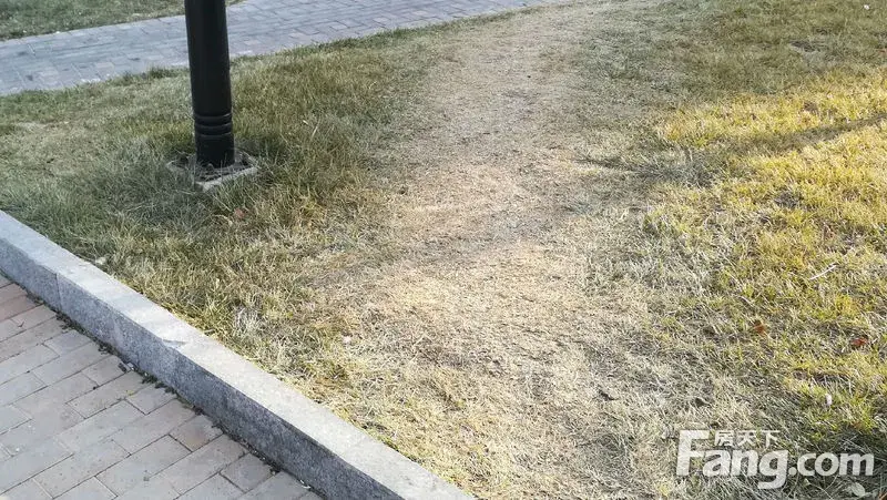 这里的小路静悄悄