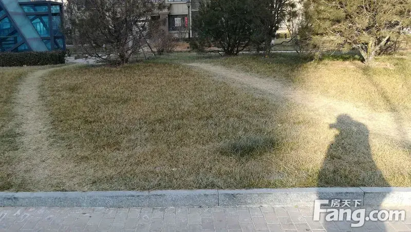这里的小路静悄悄